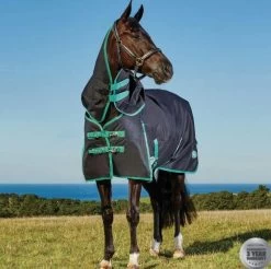 Weatherbeeta Green-Tec 900D Detach-A-Neck Medium Turnout - Black/Bottle Green -Equestrian Supplies Shop 10044100