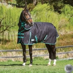Weatherbeeta Green-Tec 900D Detach-A-Neck Medium Turnout - Black/Bottle Green -Equestrian Supplies Shop 10044100 alt2