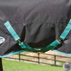 Weatherbeeta Green-Tec 900D Detach-A-Neck Medium Turnout - Black/Bottle Green -Equestrian Supplies Shop 10044100 belly