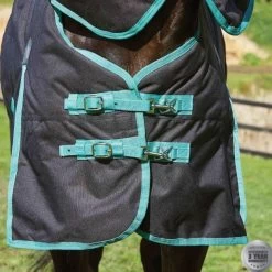 Weatherbeeta Green-Tec 900D Detach-A-Neck Medium Turnout - Black/Bottle Green -Equestrian Supplies Shop 10044100 front