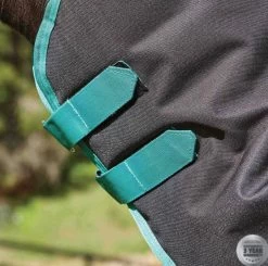 Weatherbeeta Green-Tec 900D Detach-A-Neck Medium Turnout - Black/Bottle Green -Equestrian Supplies Shop 10044100 hood