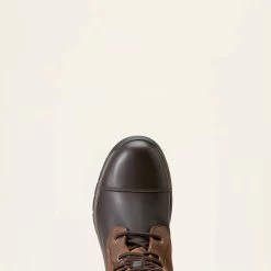 Berwick Max Waterproof Boot - Ebony Brown 8 Berwick Max Waterproof Boot - Ebony Brown -Equestrian Supplies Shop 10047006 D