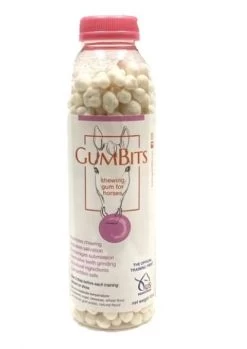 GumBits - 12OZ