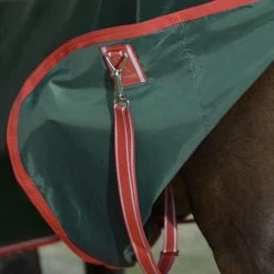 Weatherbeeta Comfitec Prelim Standard Neck - Lite - Dark Green, Red And White -Equestrian Supplies Shop 10193030 D