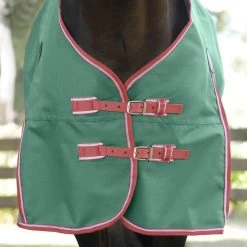 Weatherbeeta Comfitec Prelim Standard Neck - Lite - Dark Green, Red And White -Equestrian Supplies Shop 10193030 F