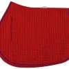 Cotton Quilted A/P Square Pad With Piping - Red/Royal