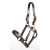 Walsh British Halter - Havana