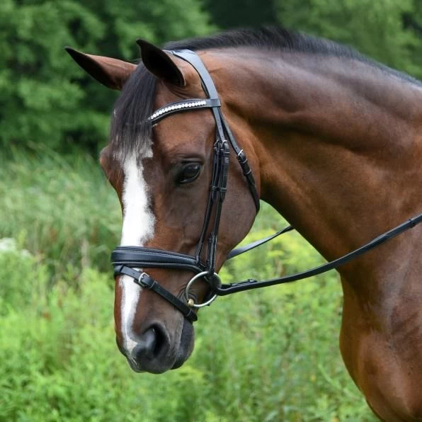 Pace Bridle - Black 1 Pace Bridle - Black