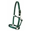 Walsh 1" Nylon Adjustable Halter - 8