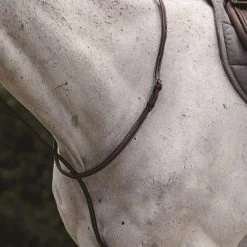 Raised Standing Martingale II - Brown