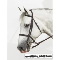 Ovation Euro Bit Converter - Brown