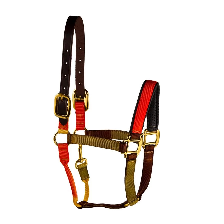 Horse Fare Earthtones Breakaway Nylon Halter - Earth 1 Horse Fare Earthtones Breakaway Nylon Halter - Earth