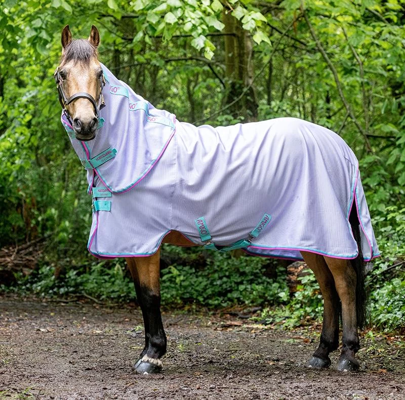 Amigo® Pony Bug Rug 2 Amigo® Pony Bug Rug - Image 2