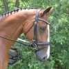 Magnolia Bridle - Black