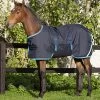 Amigo® Ripstop Foal Turnout (200g Medium) - Navy And Electric Blue