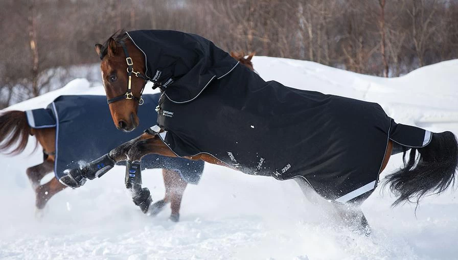 Amigo Super Bravo Plus (250g Medium) - Black With Black And White 1 Amigo Super Bravo Plus (250g Medium) - Black With Black And White