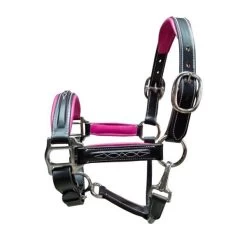 Fancy Stitched Padded Pony Halter - Pink
