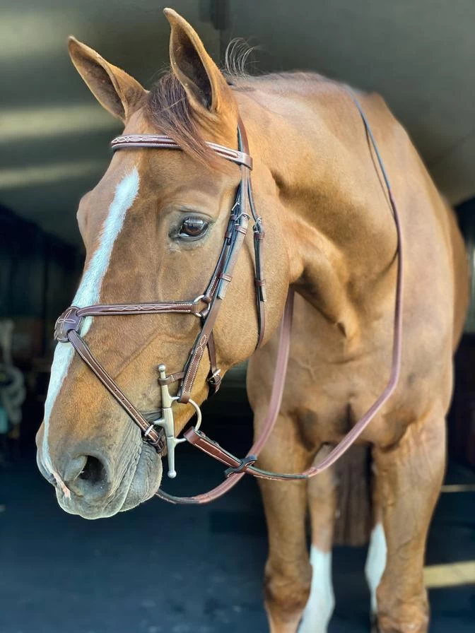 Heritage Fancy Stitched Figure Eight Bridle - Horse 1 Heritage Fancy Stitched Figure Eight Bridle - Horse