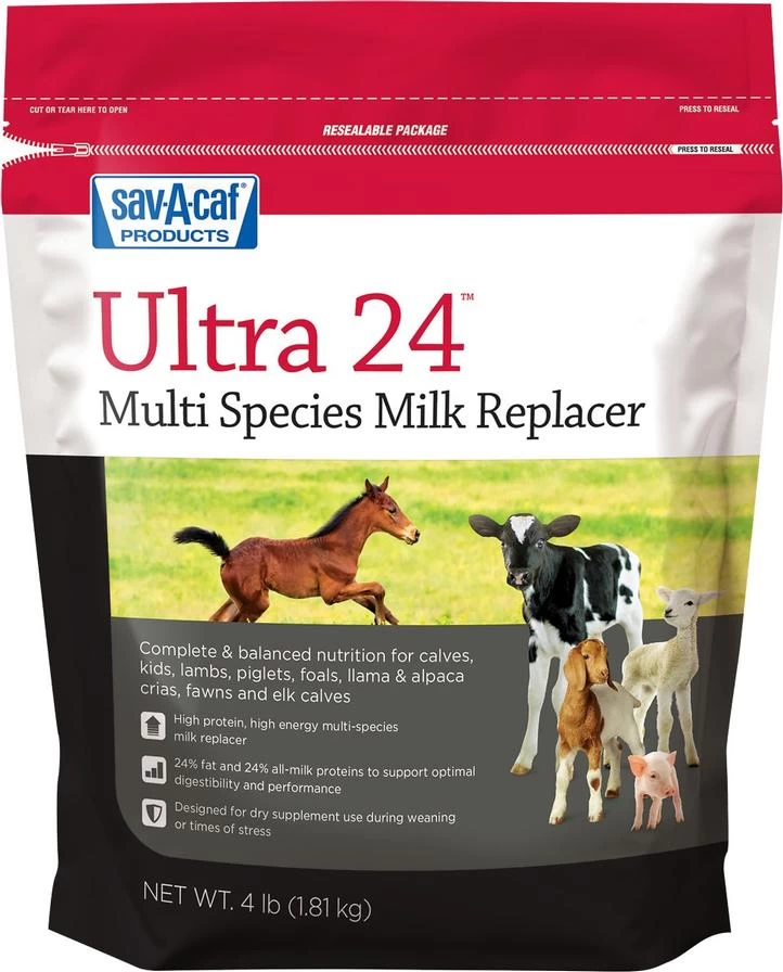 Ultra 24 Milk Replacer - 4LB 1 Ultra 24 Milk Replacer - 4LB