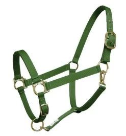 Nylon Halter - Draft - DRAFT -Equestrian Supplies Shop 16091 HUNTER l