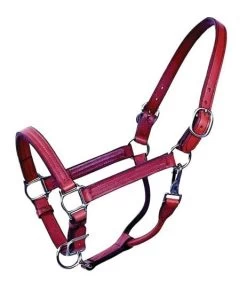 Triple Stitched Leather Halter - Chestnut