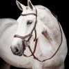 Micklem 2 Competition Bridle - Dark Havana