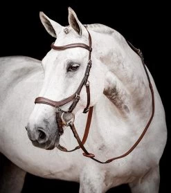 Micklem 2 Competition Bridle - Dark Havana