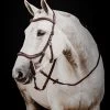 Micklem 2 Deluxe Competition Bridle - Dark Havana