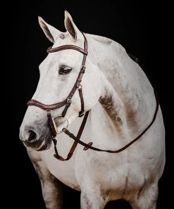 Micklem 2 Deluxe Competition Bridle - Dark Havana