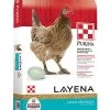 Purina Layena® Crumble - 50LB