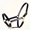 1" Leather Halter - Cob - Chestnut