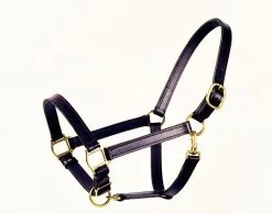 1" Leather Halter - Cob - Chestnut