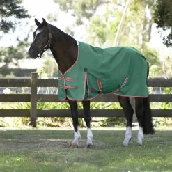 Weatherbeeta Comfitec Prelim Standard Neck - Lite - Dark Green, Red And White