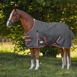 Weatherbeeta Comfitec Essential Plus Standard Neck - Lite - Light Grey, Orange And Blue