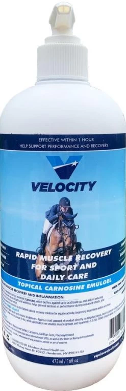 Velocity Carnosine Emulgel - 16oz - 16OZ