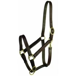 Adjustable Halter With Snap - Oversize - Havana