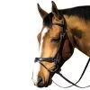 M Toulouse Platinum Flash/Crank Dressage Bridle With Reins - Black