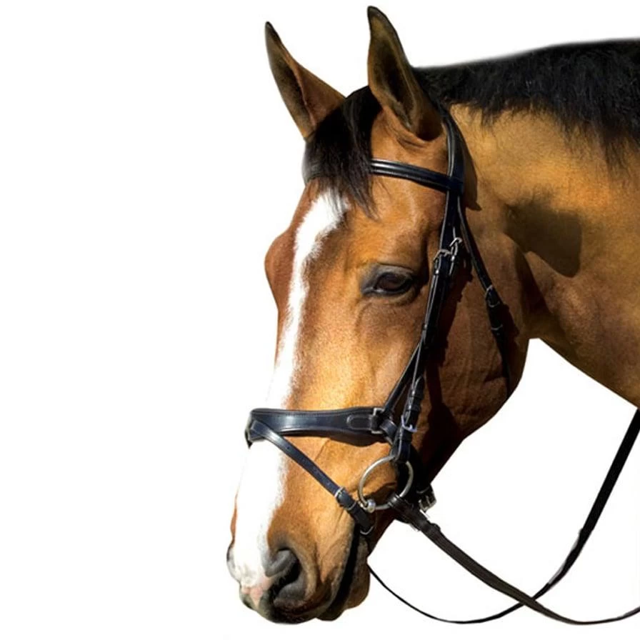 M Toulouse Platinum Flash/Crank Dressage Bridle With Reins - Black 1 M Toulouse Platinum Flash/Crank Dressage Bridle With Reins - Black