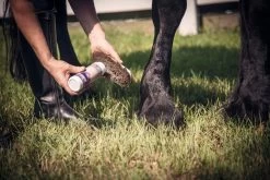 Daily Defense Dry Shampoo - 8oz