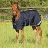 Amigo® Foal Rug Medium Weight Turnout Blanket - Navy And White