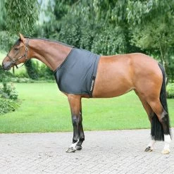 Back On Track Therapeutic Shoulder Guard - Black