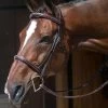 Nunn Finer Verona Bridle - Havana