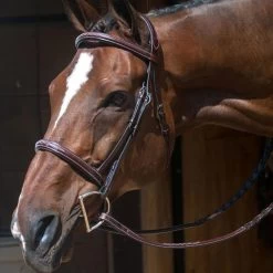 Nunn Finer Verona Bridle - Havana