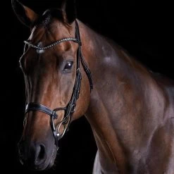 Collegiate Comfitec Crystal Bridle - Black