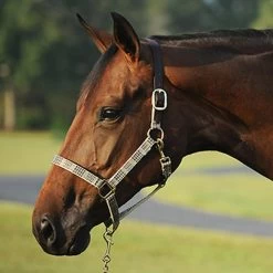 Baker Halter With Leather Crown - Baker Plaid