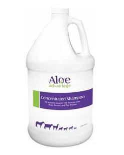 Aloe Advantage Concentrated Shampoo - Gallon - 1GAL