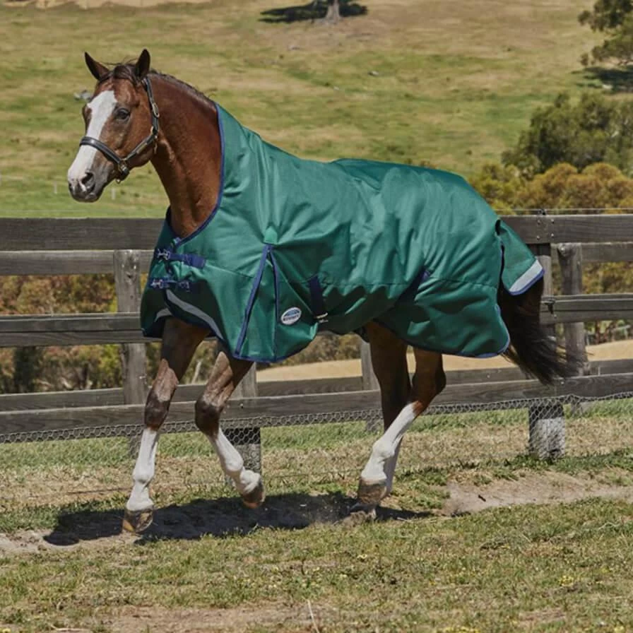 Weatherbeeta Comfitec Plus Dynamic High Neck Lite Turnout Sheet - Hunter/Navy 1 Weatherbeeta Comfitec Plus Dynamic High Neck Lite Turnout Sheet - Hunter/Navy