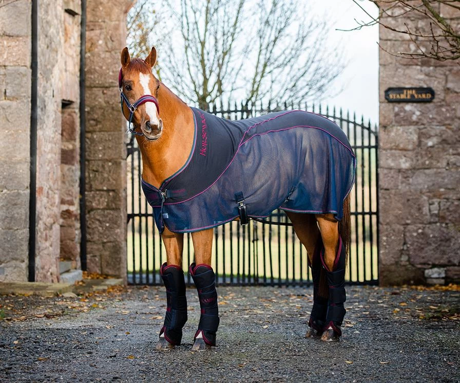 Rambo® Sport Cooler - Navy, Burgundy And Teal 1 Rambo® Sport Cooler - Navy, Burgundy And Teal