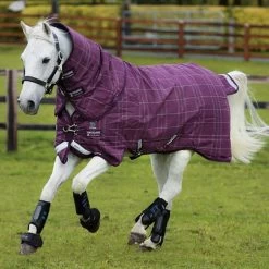 Rhino® Plus Pony (250g Medium)