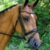 Stride Dressage Bridle - Black